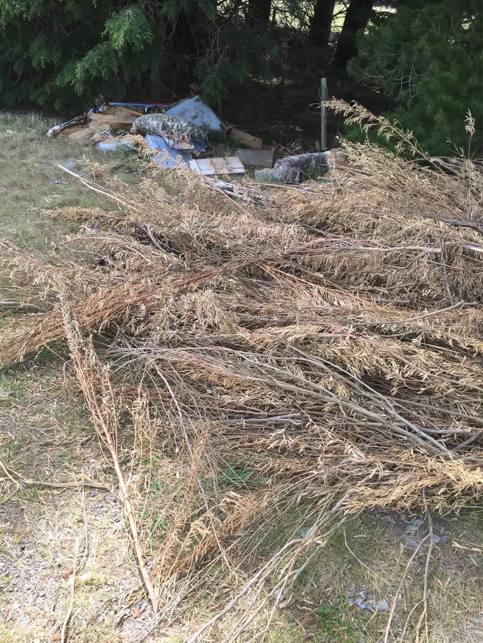 The photograph attached to this dumped rubbish report