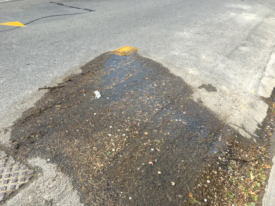 The photograph attached to this water leak report