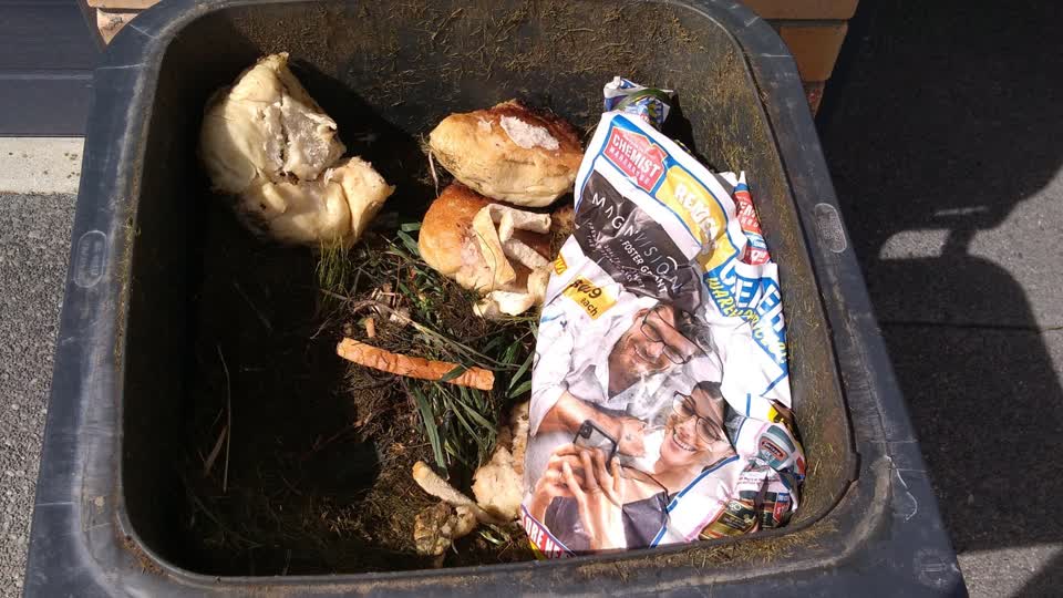 The photograph attached to this rubbish and bins - general report