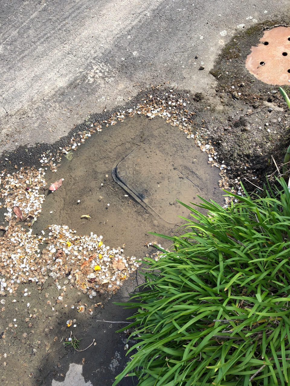 The photograph attached to this water leak report