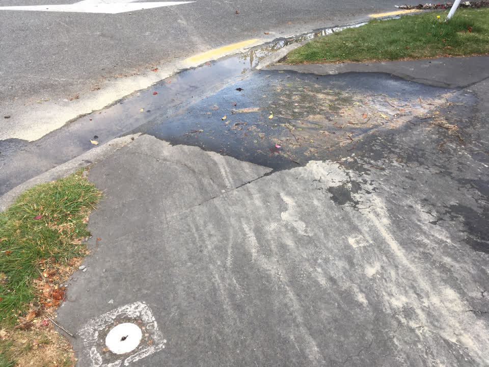 The photograph attached to this water leak report