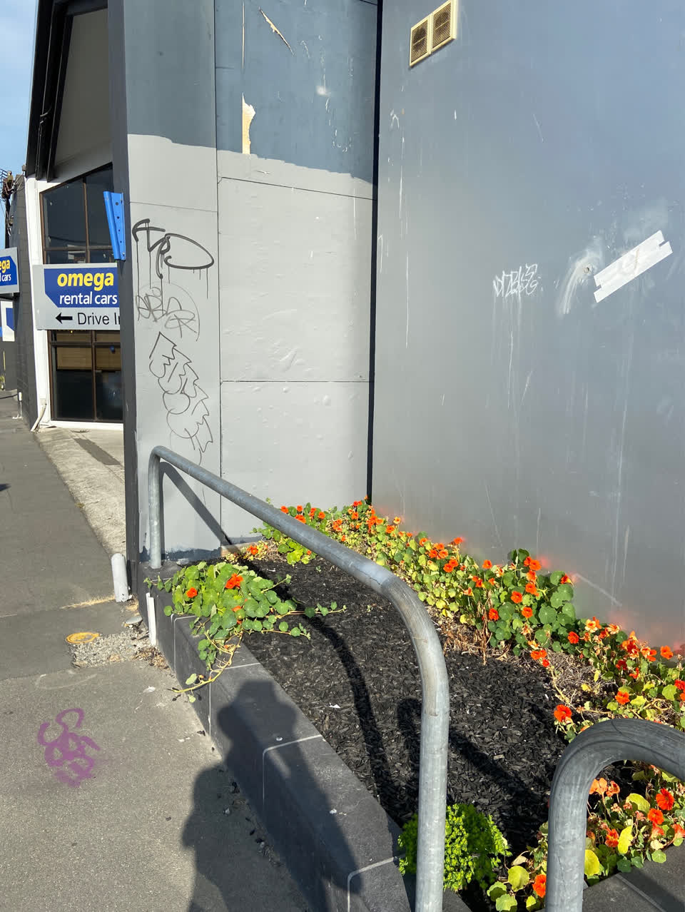The photograph attached to this graffiti - public property report