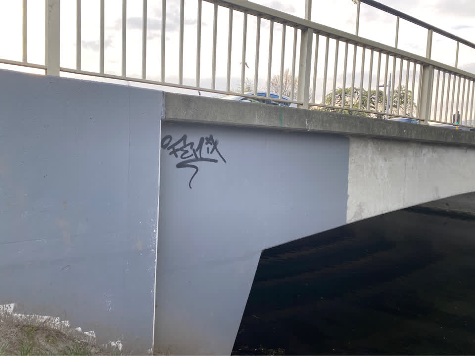 The photograph attached to this graffiti - public property report