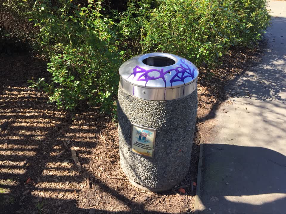 The photograph attached to this graffiti - public property report