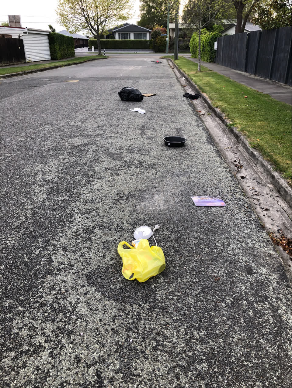 The photograph attached to this litter report