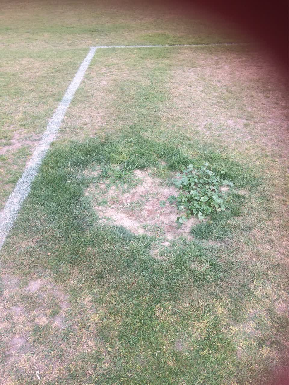 The photograph attached to this parks report