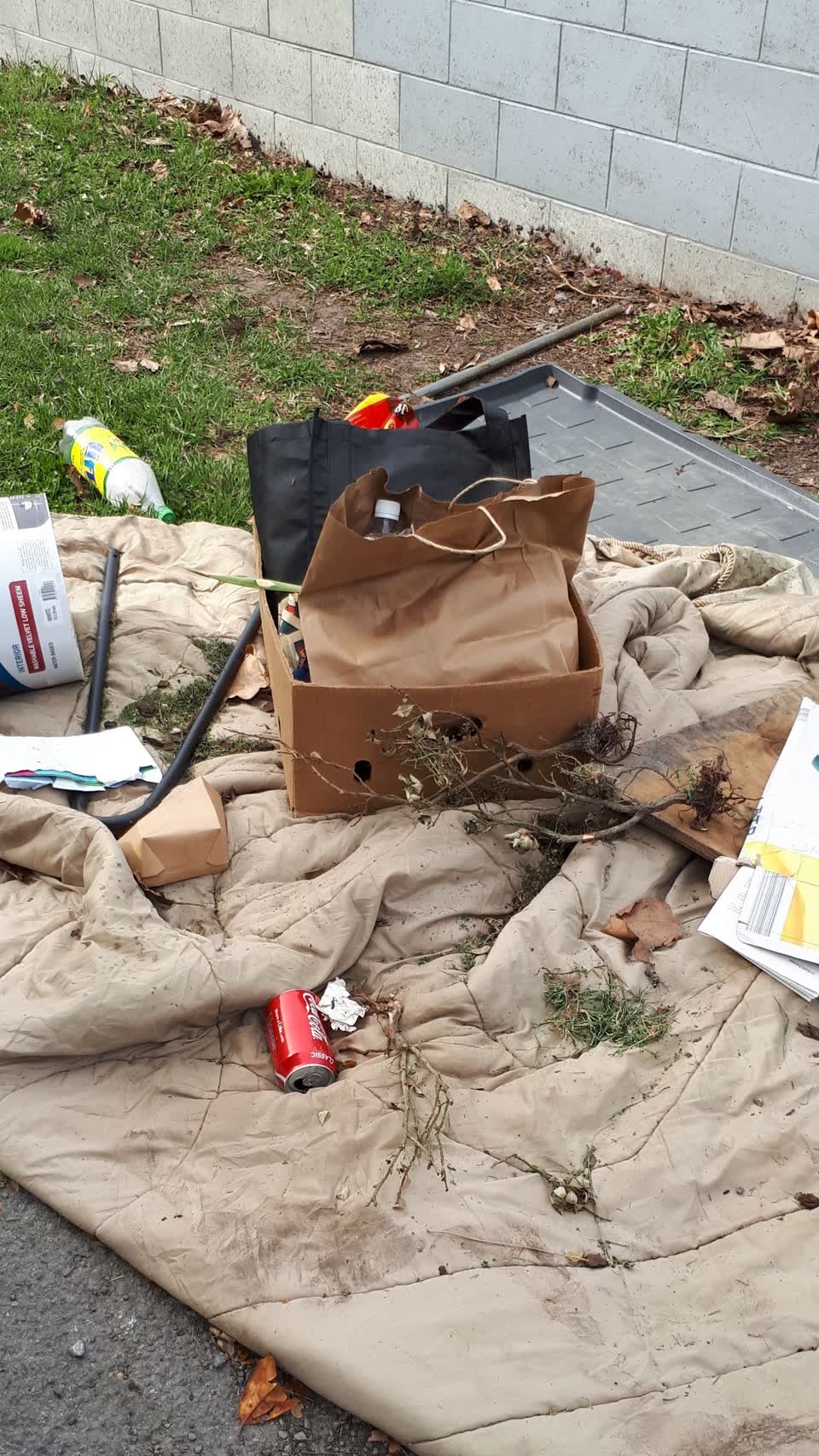 The photograph attached to this dumped rubbish report
