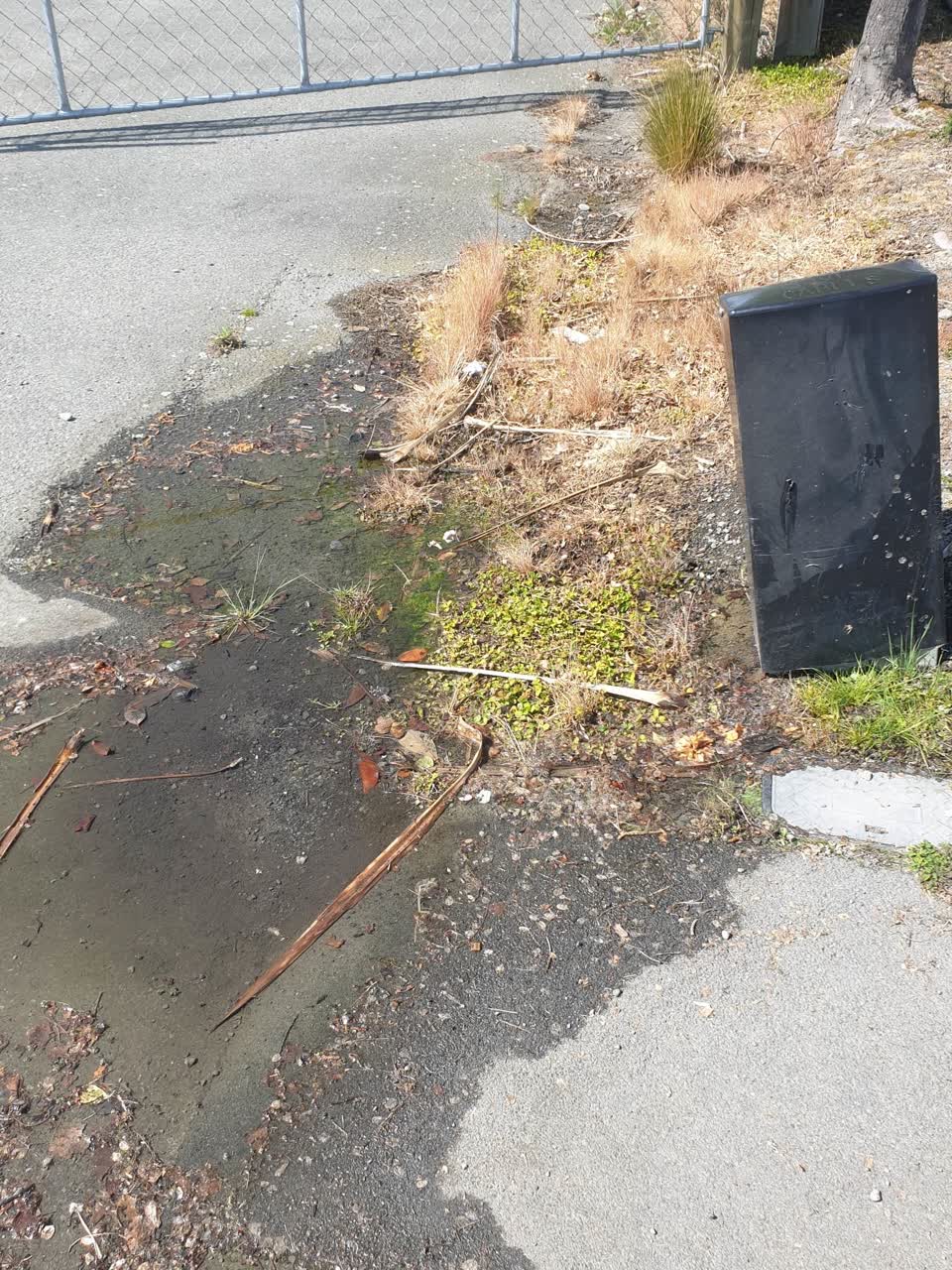 The photograph attached to this water supply report
