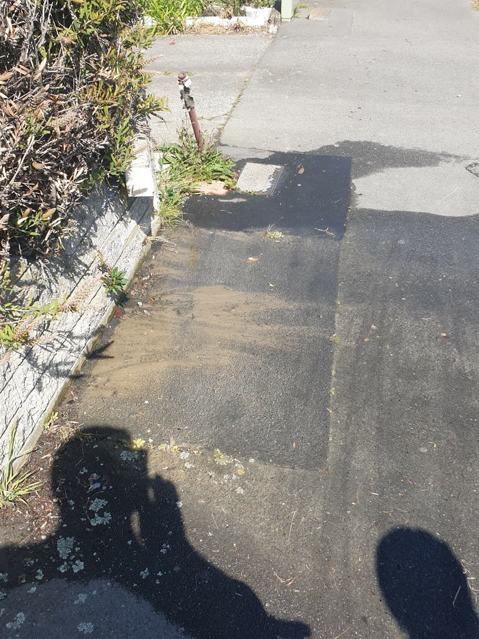 The photograph attached to this water supply report