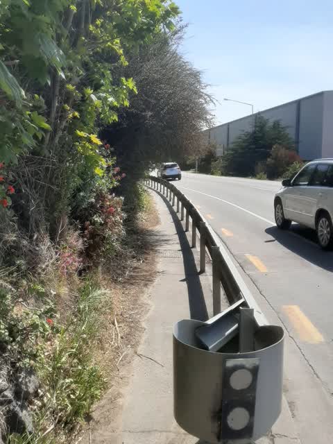 Overgrown Vegetation, a report photo