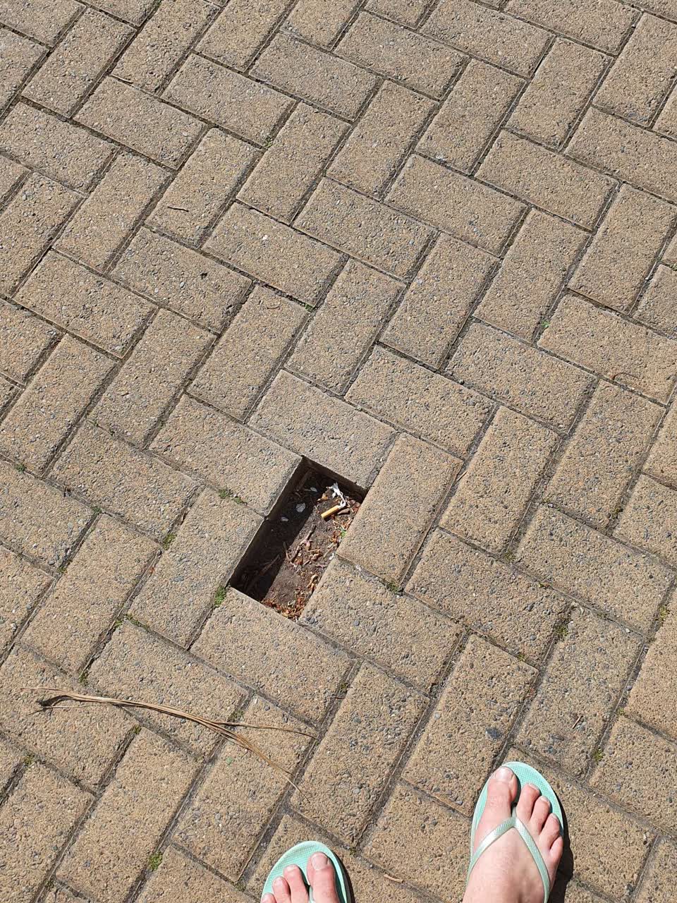 The photograph attached to this pavement - damaged report