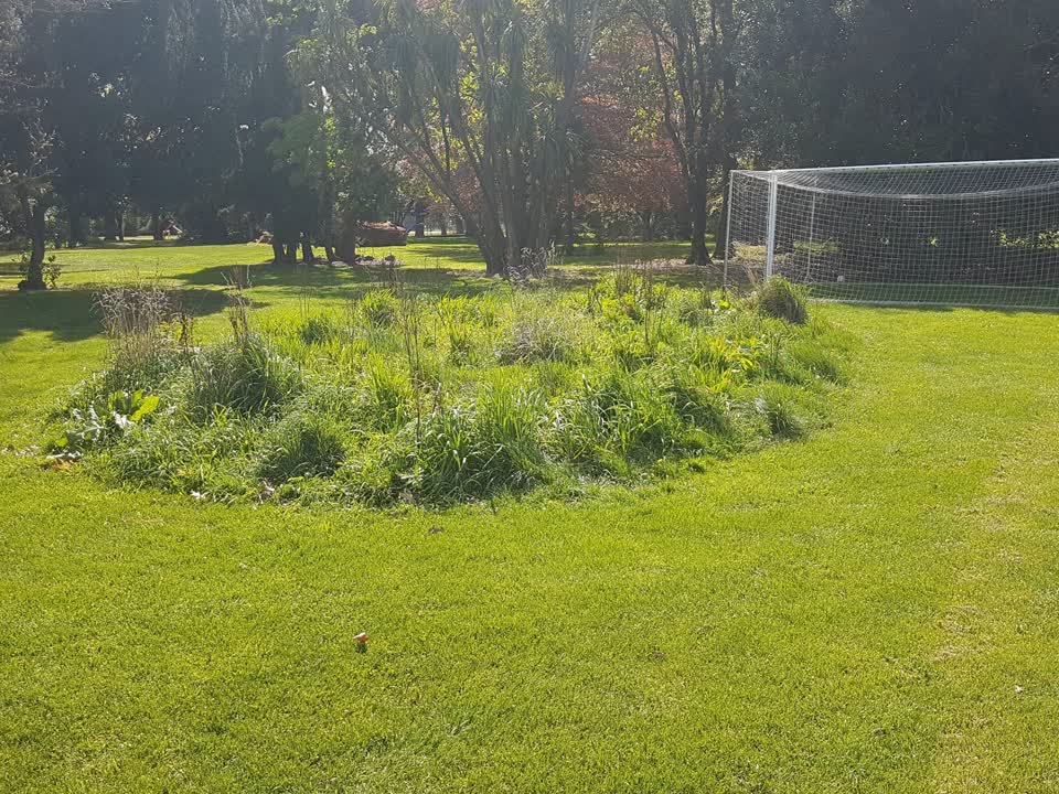 The photograph attached to this overgrown vegetation report