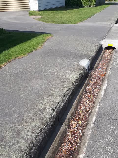 Water Leak, a report photo