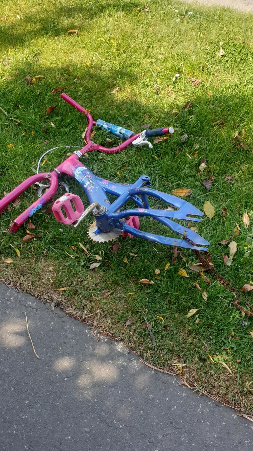The photograph attached to this dumped rubbish report