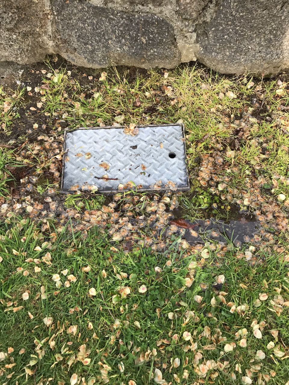 The photograph attached to this water leak report