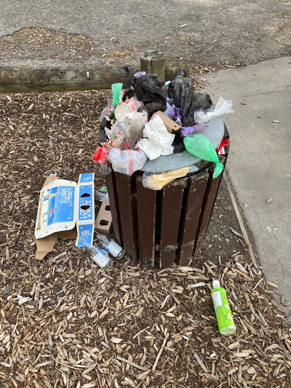 The photograph attached to this rubbish and bins - general report