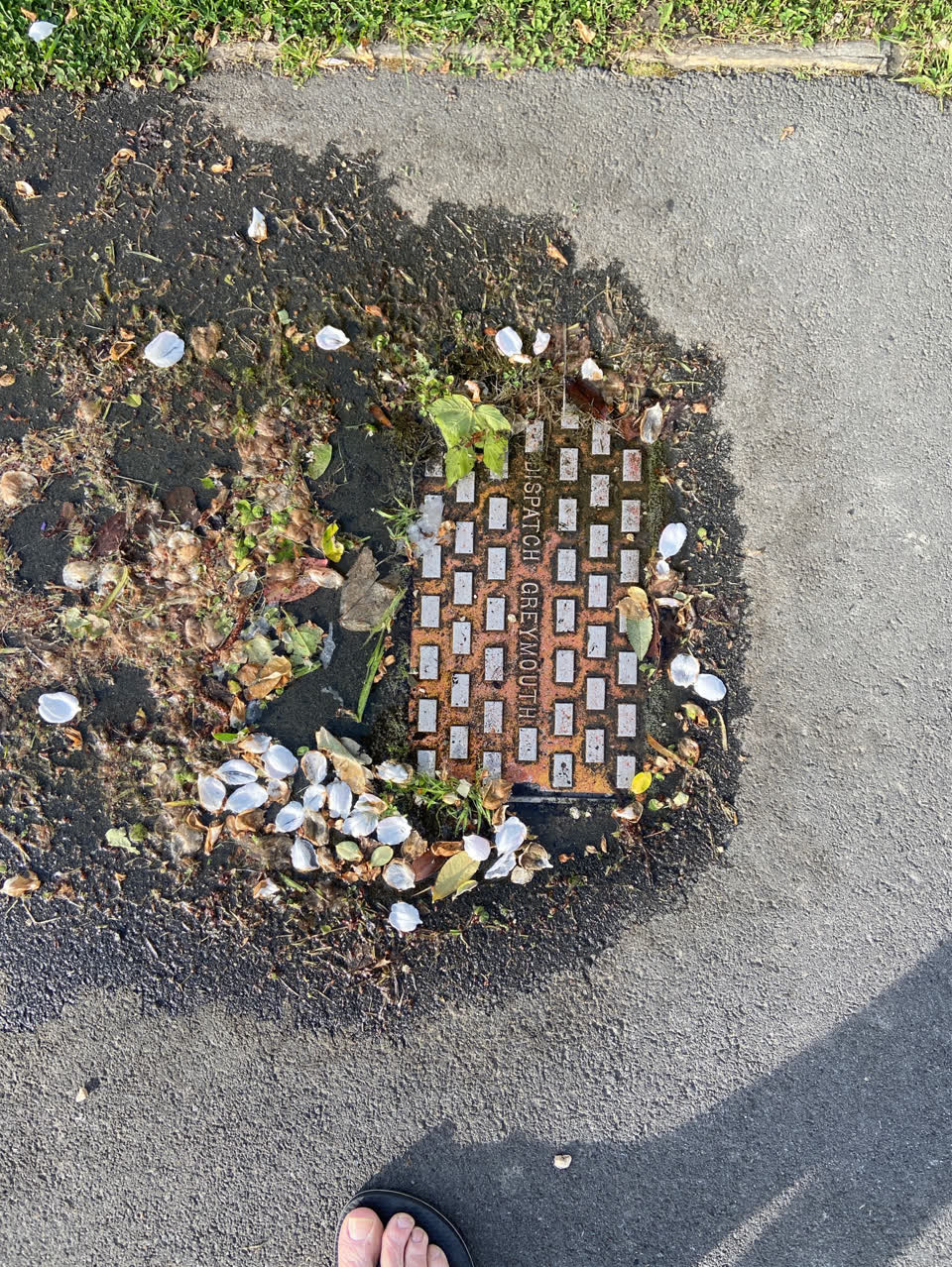 The photograph attached to this water leak report
