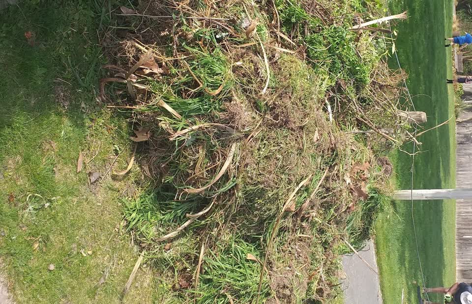 The photograph attached to this dumped rubbish report