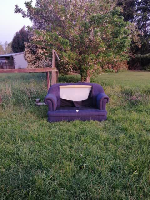 Dumped Rubbish, a report photo