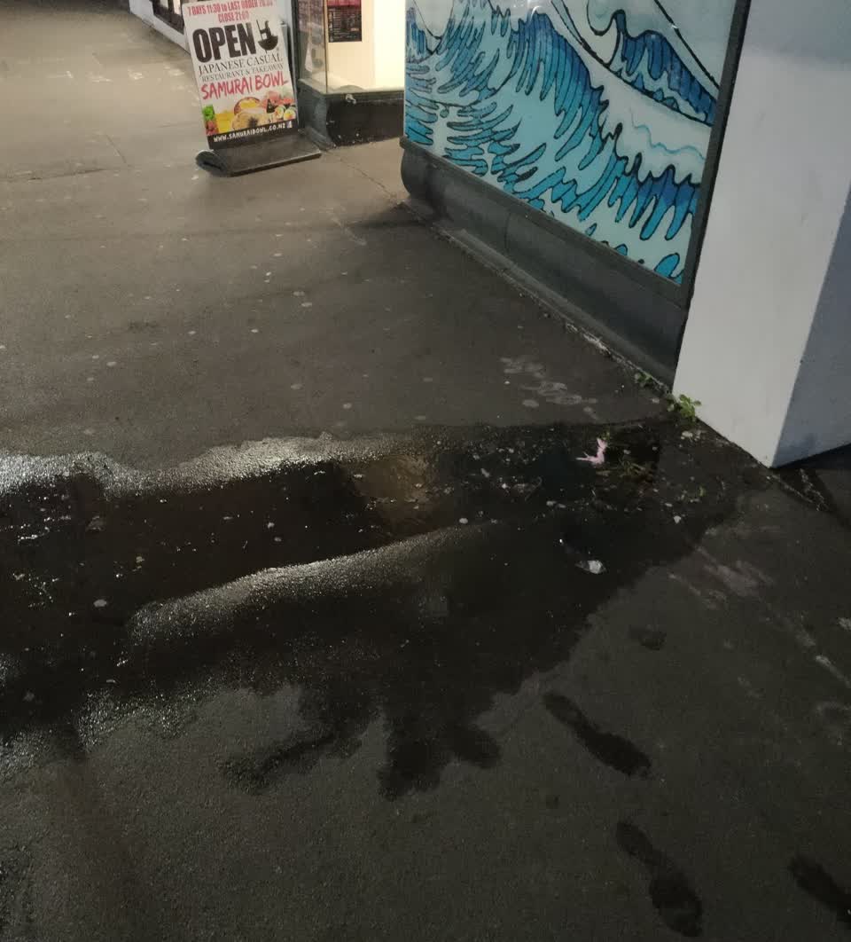 The photograph attached to this water leak report