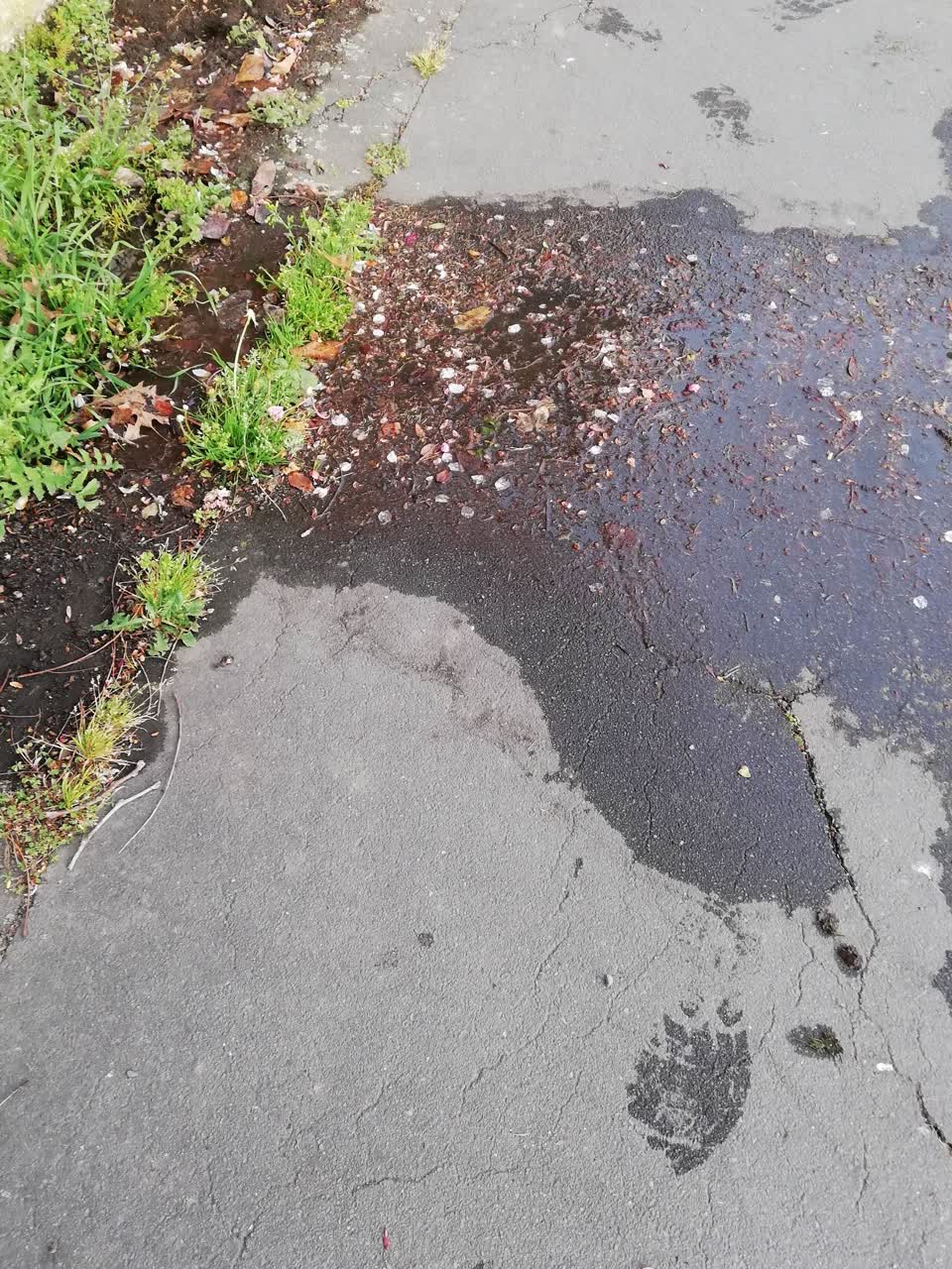The photograph attached to this water leak report