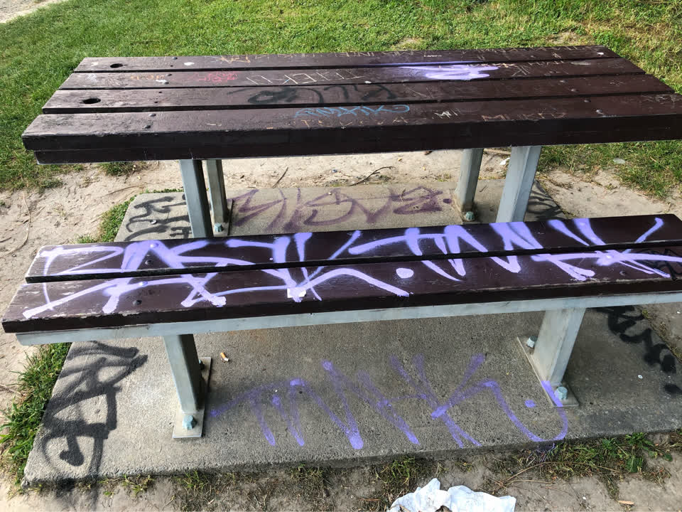The photograph attached to this graffiti - public property report