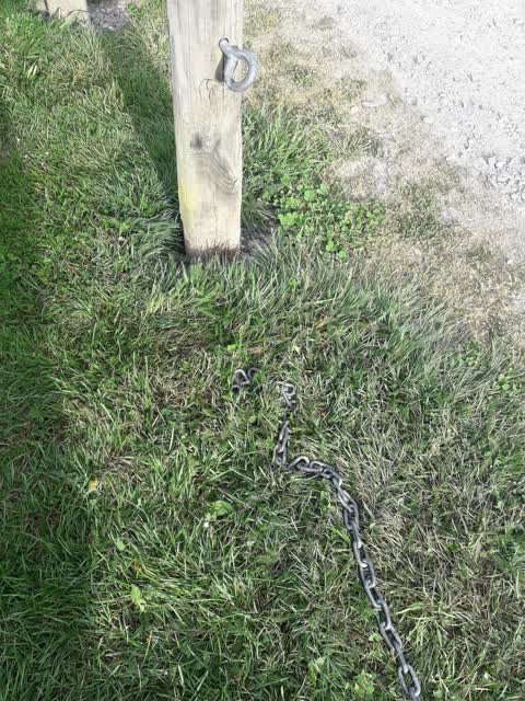 Parks, a report photo