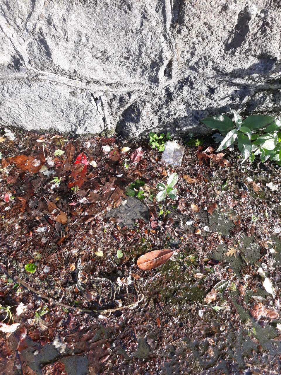 The photograph attached to this water leak report
