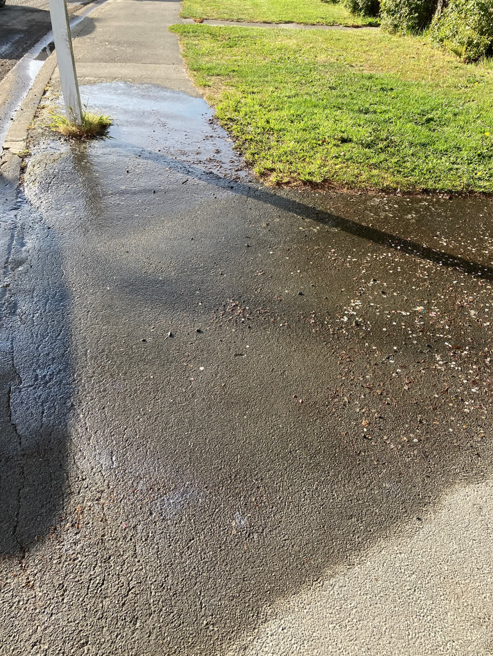 The photograph attached to this water supply report