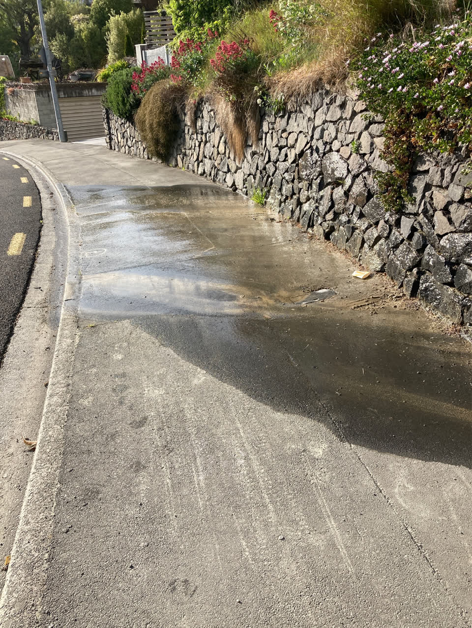 The photograph attached to this water leak report