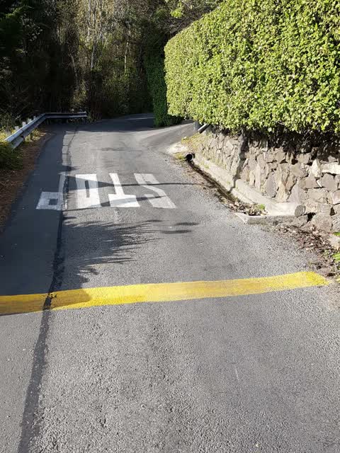 Water Leak, a report photo