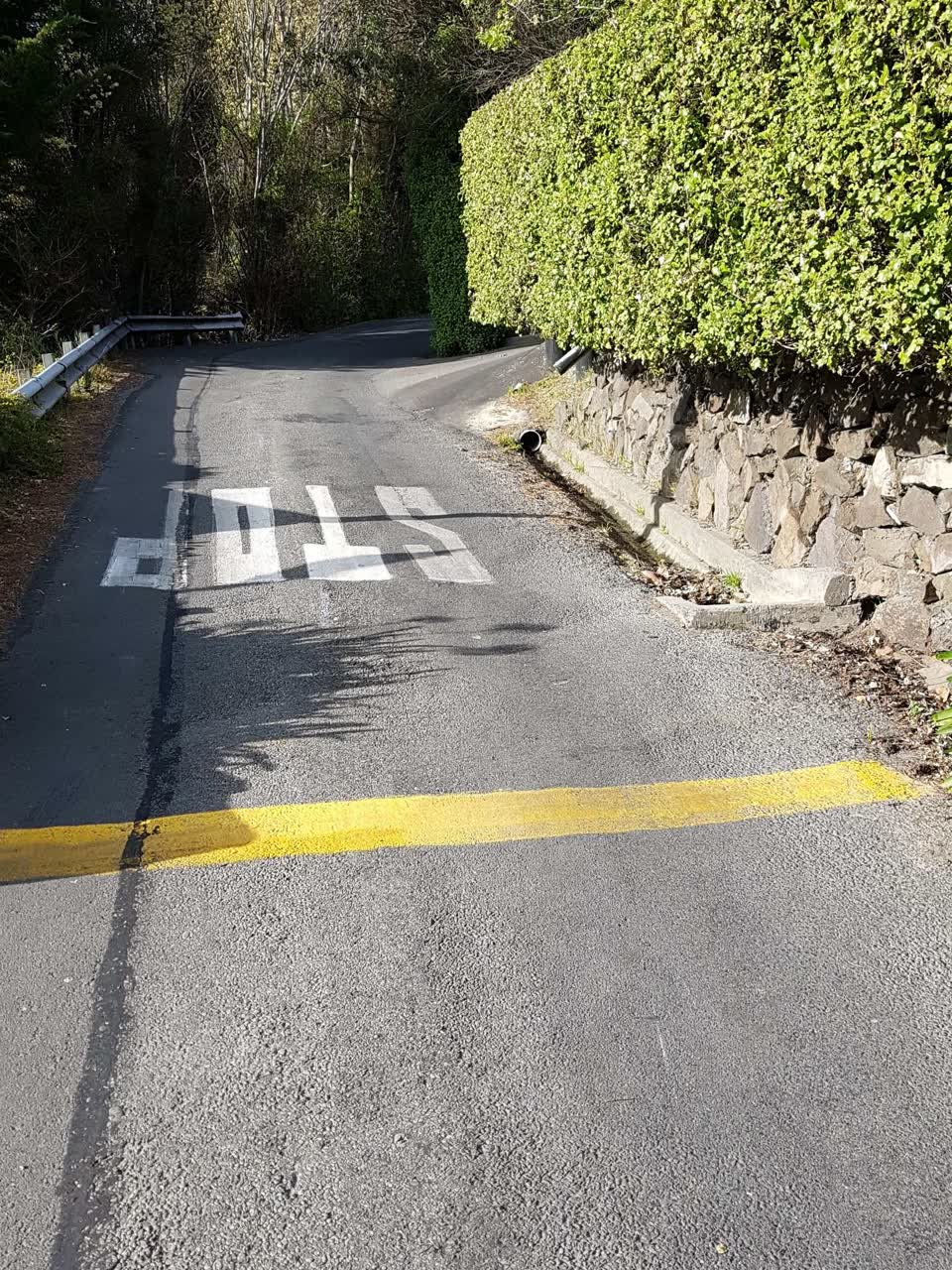 The photograph attached to this water leak report