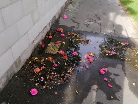 Flooding, a report photo