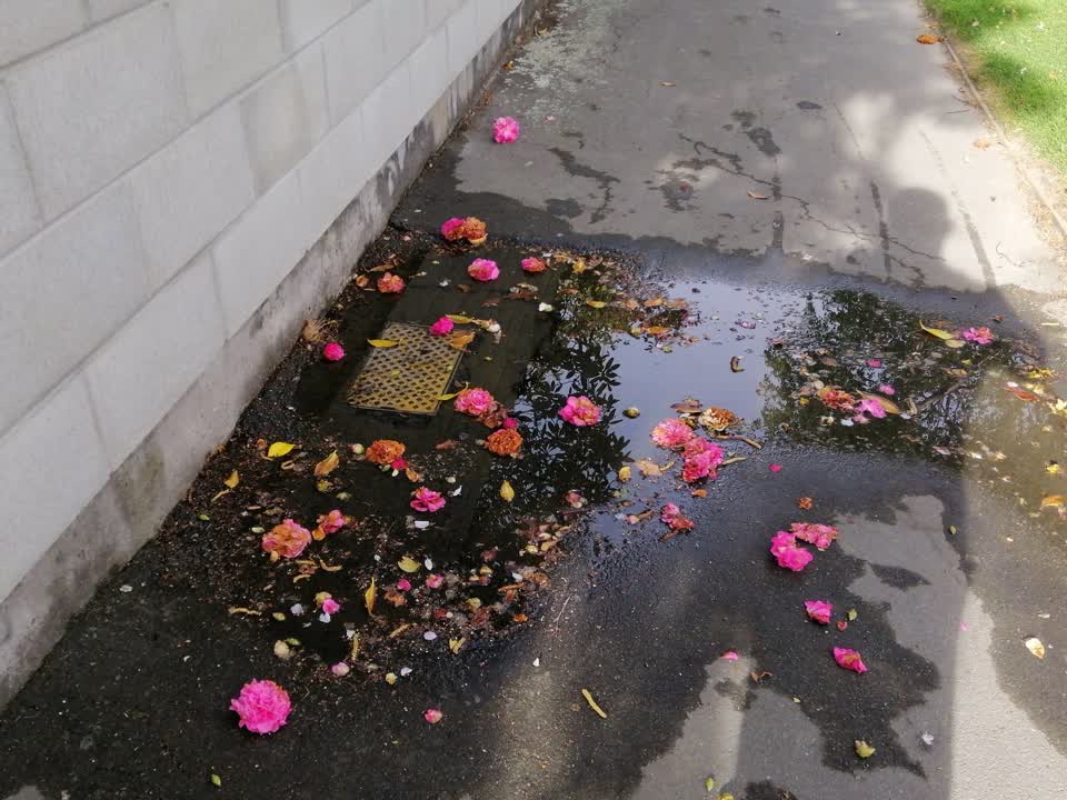 The photograph attached to this flooding report