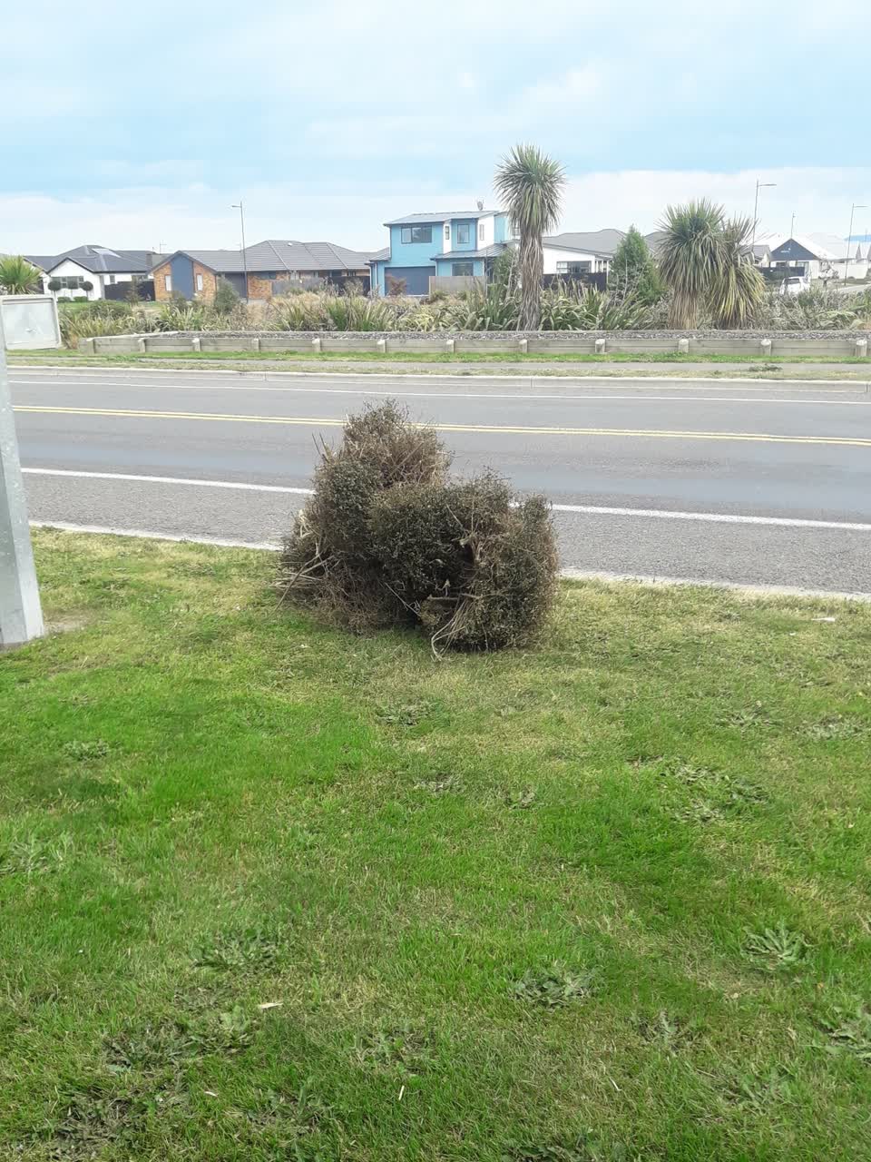 The photograph attached to this parks report