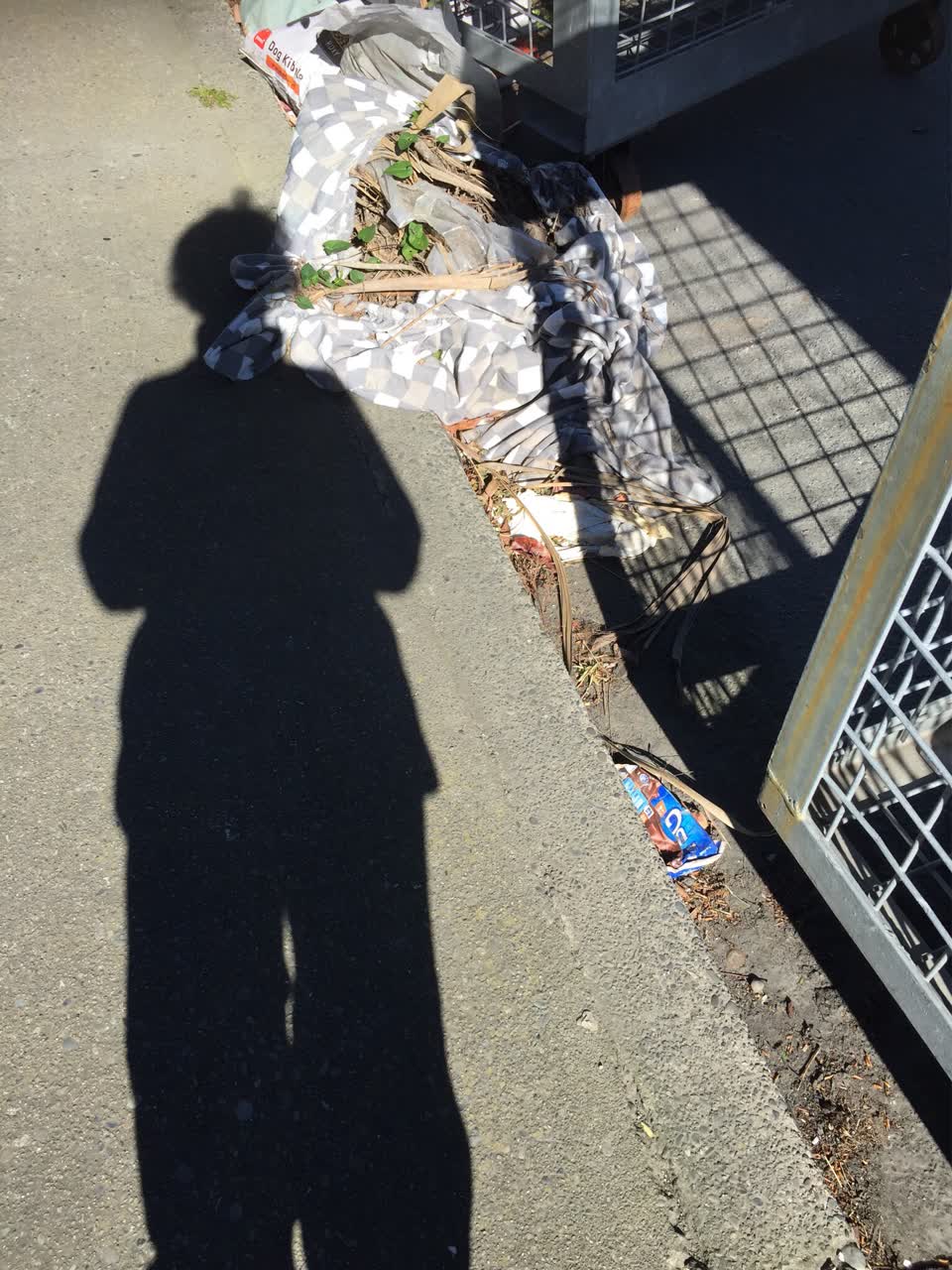 The photograph attached to this pavement - general report