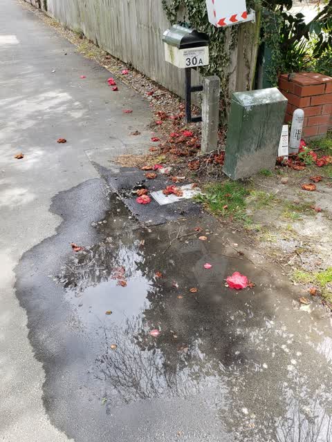 Water Supply, a report photo