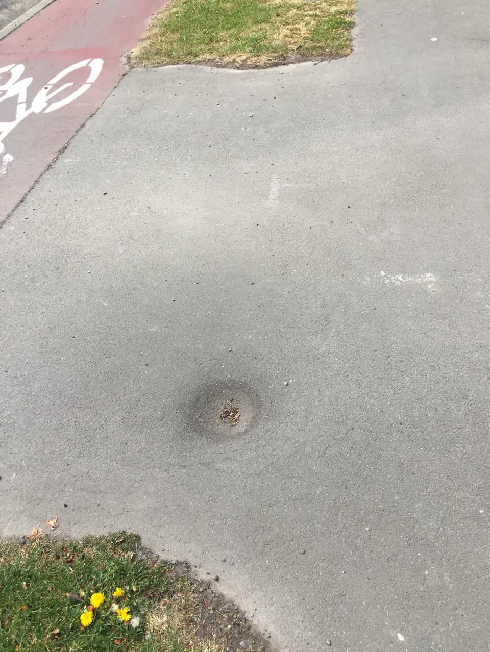 The photograph attached to this pavement - damaged report