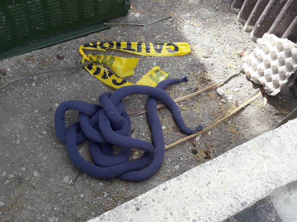 The photograph attached to this dumped rubbish report
