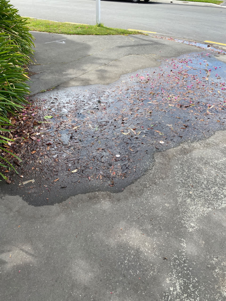 The photograph attached to this water leak report