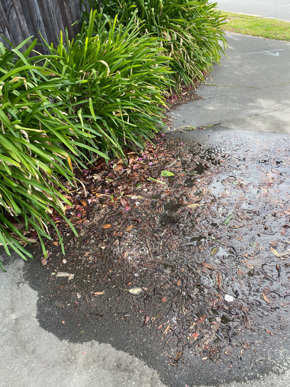 The photograph attached to this water leak report