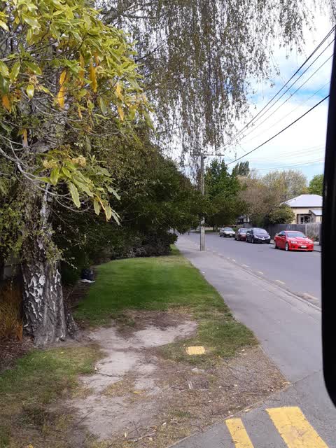 Overgrown Vegetation, a report photo