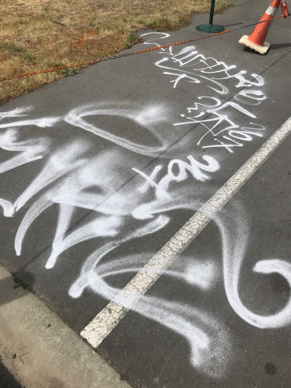 The photograph attached to this graffiti report