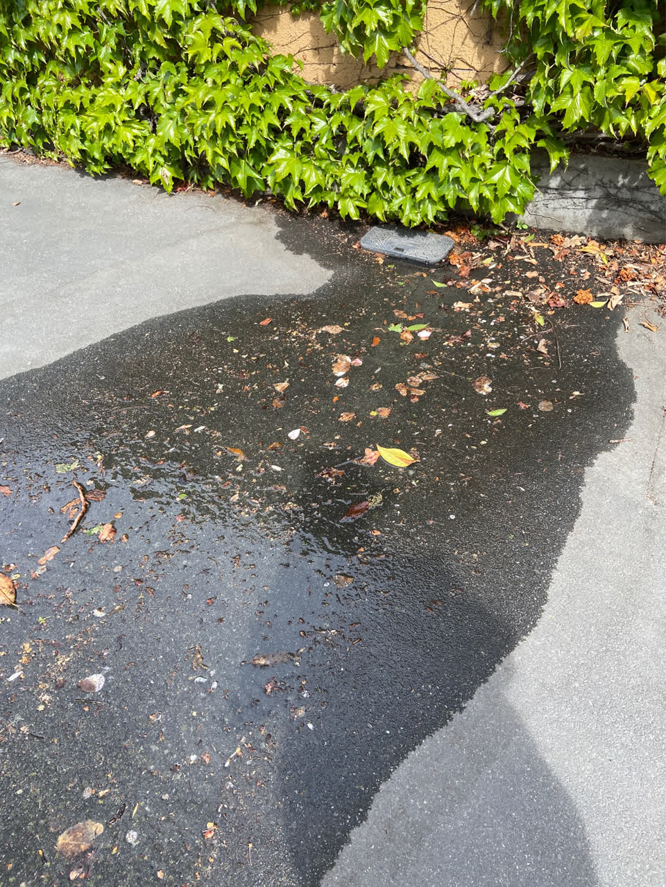 The photograph attached to this water leak report