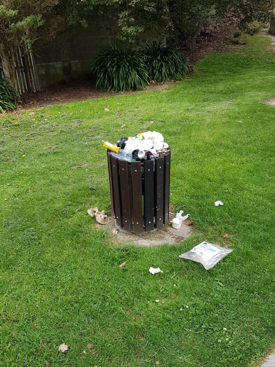 The photograph attached to this rubbish and bins - general report