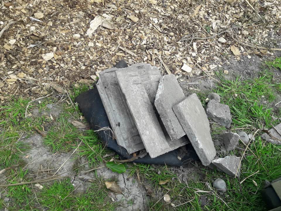 The photograph attached to this parks report