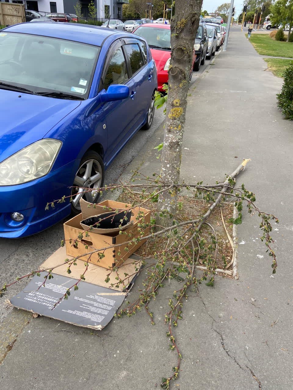 The photograph attached to this dumped rubbish report