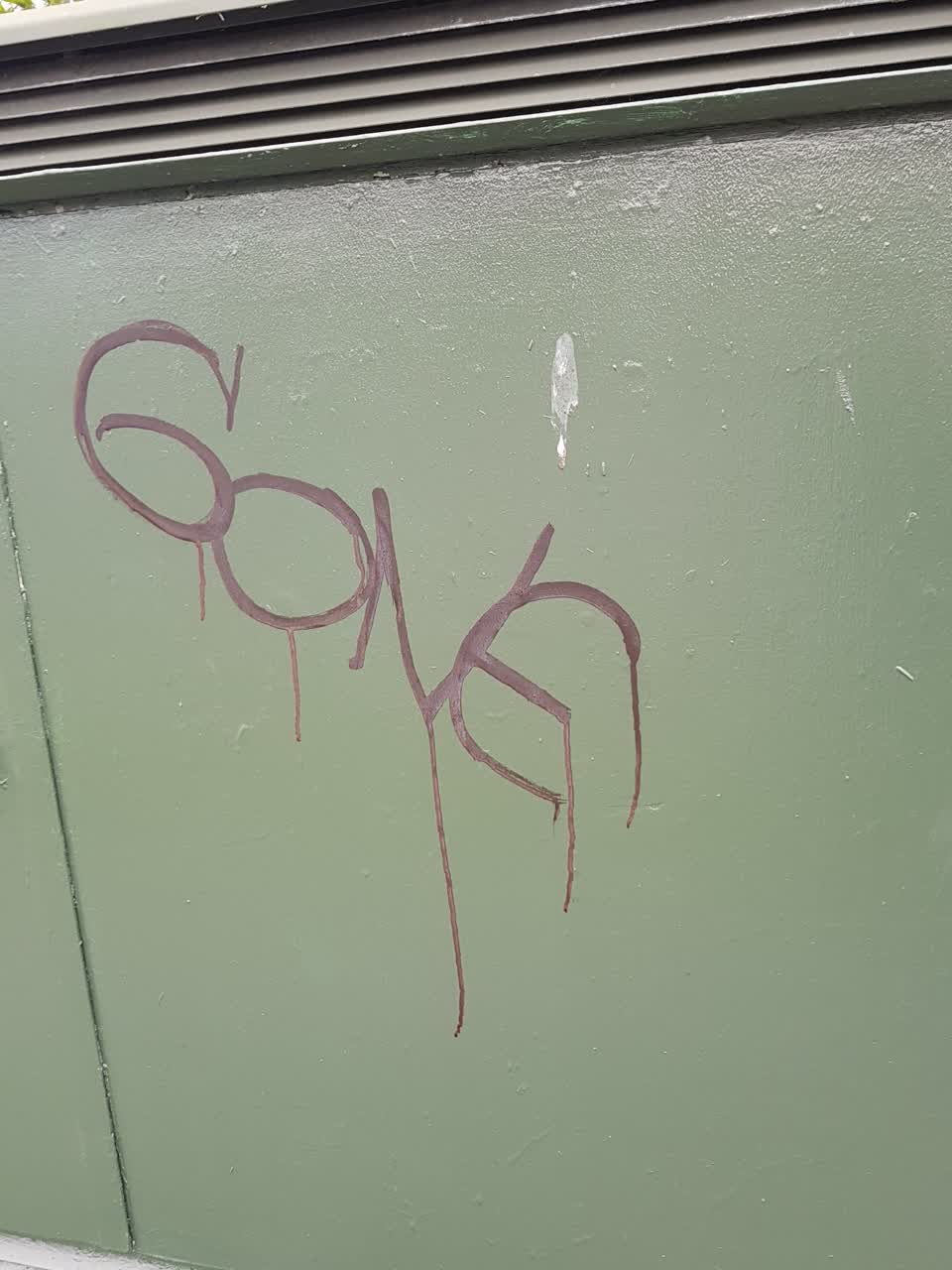 The photograph attached to this graffiti report