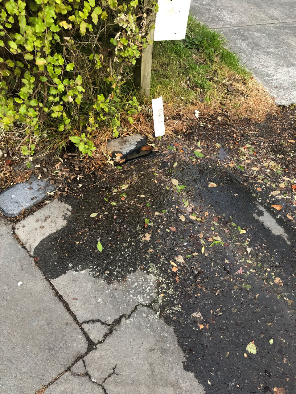 The photograph attached to this water leak report