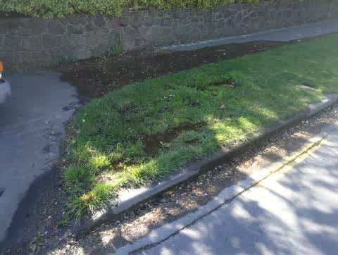 Water Leak, a report photo
